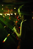 Chris Sidwell-Smith > The Codes photo