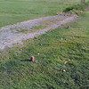 Chris Sidwell-Smith > Worst golf tee in the world!