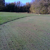 Chris Sidwell-Smith > 1st time EVER on the green from the tee!