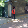 Chris Sidwell-Smith > Conar on guard outside Clarence House